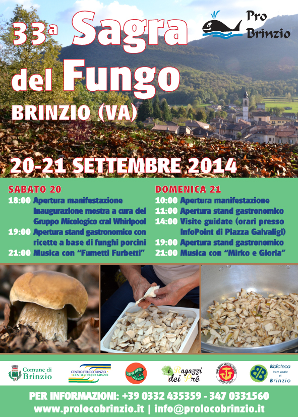 Sagra del Fungo 2014 Brinzio